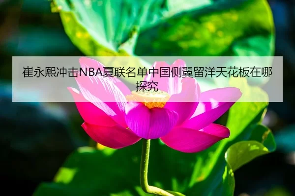 崔永熙冲击NBA夏联名单中国侧翼留洋天花板在哪探究