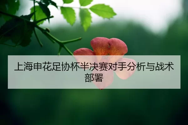 shang-hai-shen-hua-zu-xie-bei-ban-jue-sai-dui-shou-fen-xi-yu-zhan-shu-bu-shu-2-193.jpg