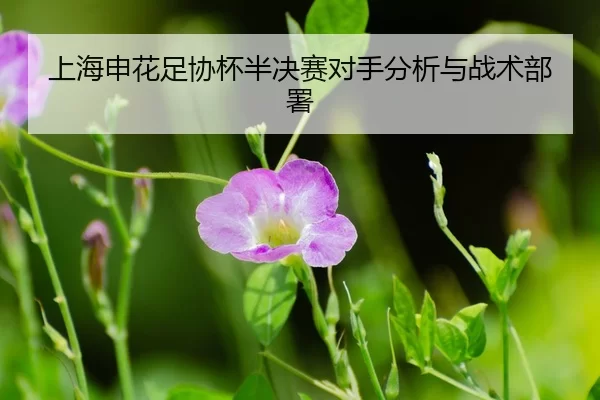 shang-hai-shen-hua-zu-xie-bei-ban-jue-sai-dui-shou-fen-xi-yu-zhan-shu-bu-shu-3-423.jpg