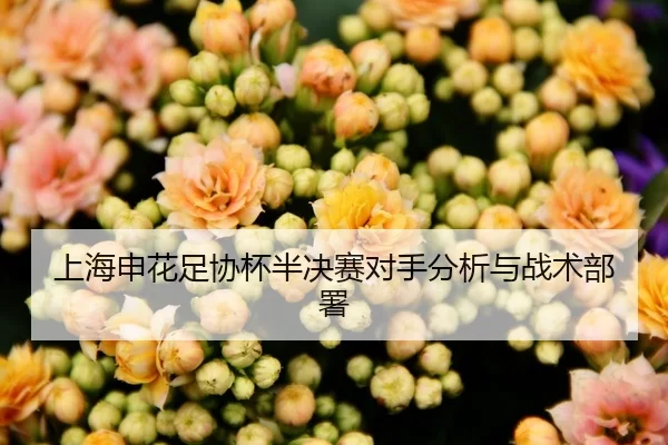 上海申花足协杯半决赛对手分析与战术部署