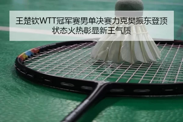 wang-chu-qin-guan-jun-sai-nan-dan-jue-sai-li-ke-fan-zhen-dong-deng-ding-zhuang-tai-huo-re-zhang-xian-xin-wang-qi-zhi-2-112.jpg