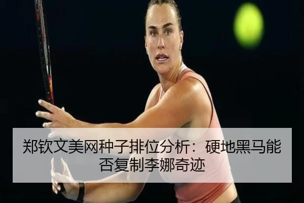 zheng-qin-wen-mei-wang-zhong-zi-pai-wei-fen-xi-ying-di-hei-ma-neng-fou-fu-zhi-li-na-qi-ji-3-388.jpg