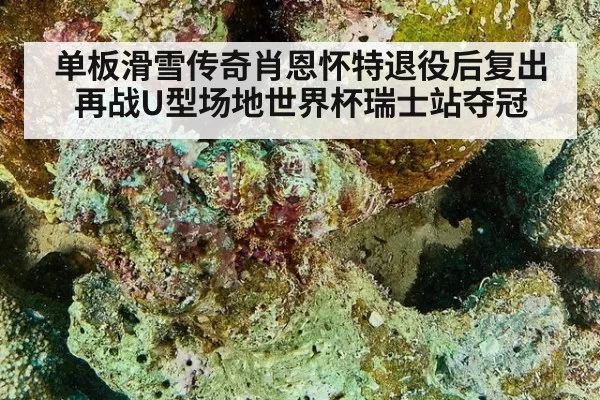 单板滑雪传奇肖恩怀特退役后复出再战U型场地世界杯瑞士站夺冠