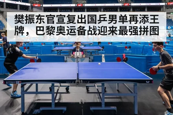 樊振东官宣复出国乒男单再添王牌，巴黎奥运备战迎来最强拼图